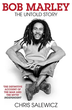 Chris Salewicz Bob Marley: The Untold Story (BOK)