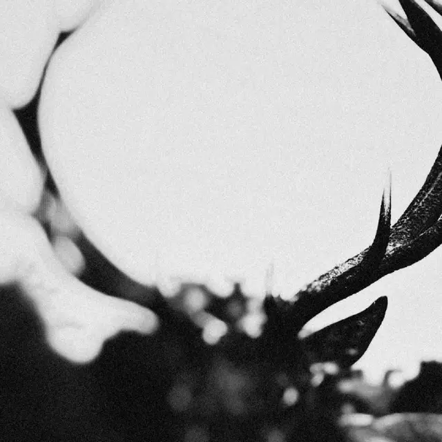 Ihsahn Ihsahn: Orchestral Version - LTD (2LP) 
