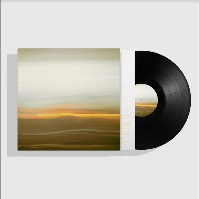 Emil Friis & Patricio Fraile The Expected Sounds Of Minor Music (LP) 