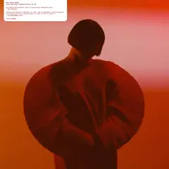 Carsten Nicolai Ray Collector - LTD (10")