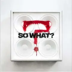 While She Sleeps So What? (CD)