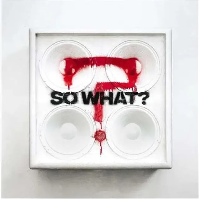 While She Sleeps So What? (CD) 