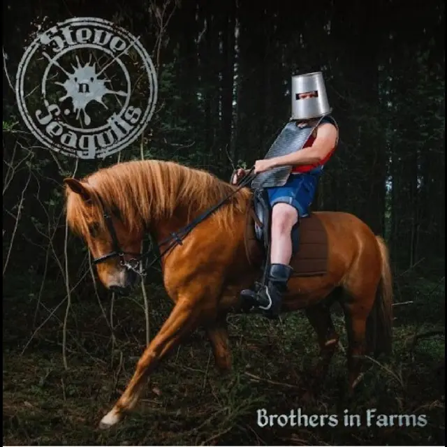 Steve 'n' Seagulls Brothers In Farms (2LP) 