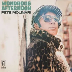 Pete Molinari Wondrous Afternoon (LP)
