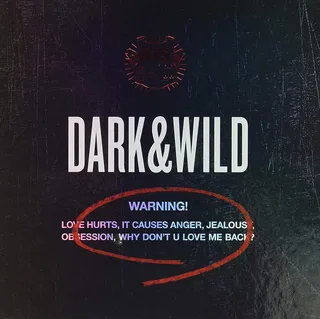 BTS DARK &amp; WILD (CD)