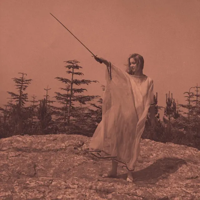 Unknown Mortal Orchestra II: 10 Year Anniversary… - LTD (2LP) 