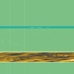 Speedy J Ginger (2LP)