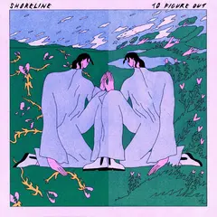 Shoreline To Figure Out (LP)