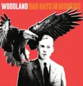 Woodland Bad Days In Disguise (LP)