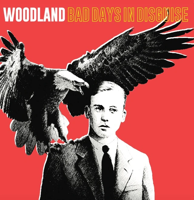 Woodland Bad Days In Disguise (LP) 