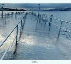 Elliot Sharp Olso (CD)