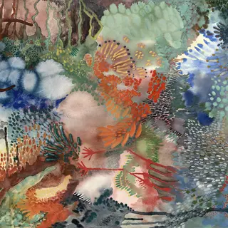 Louien None Of My Words (LP)