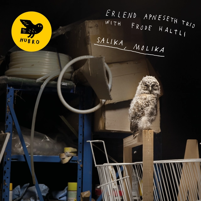 Erlend Apneseth Trio Salika, Molika (CD) 
