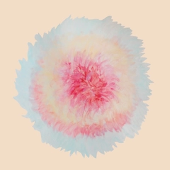 Signe Marie Rustad When Words Flew Freely (LP)