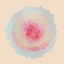 Signe Marie Rustad When Words Flew Freely (LP)