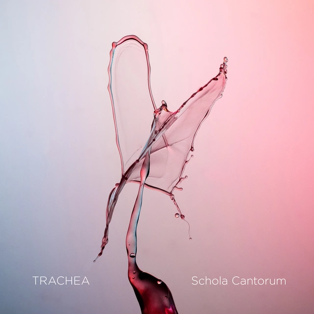 Schola Cantorum Trachea (SABD) 