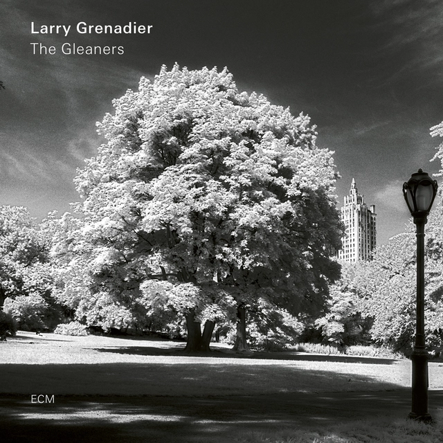 Larry Grenadier Gleaners (LP) 