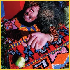 Nyssa Shake Me Where I'm Foolish (LP)