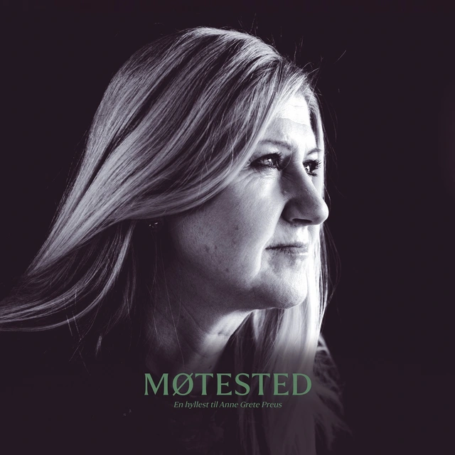Diverse Artister Møtested: En Hyllest Til Anne Grete…(LP) 