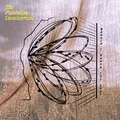 The Mukherjee Development Should I Dance For You? (LP)