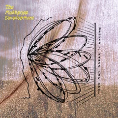 The Mukherjee Development Should I Dance For You? (LP)