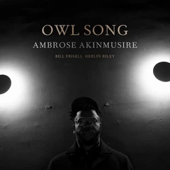 Ambrose Akinmusire Owl Song (LP)