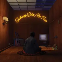 Gruff Rhys Sadness Sets Me Free (LP)