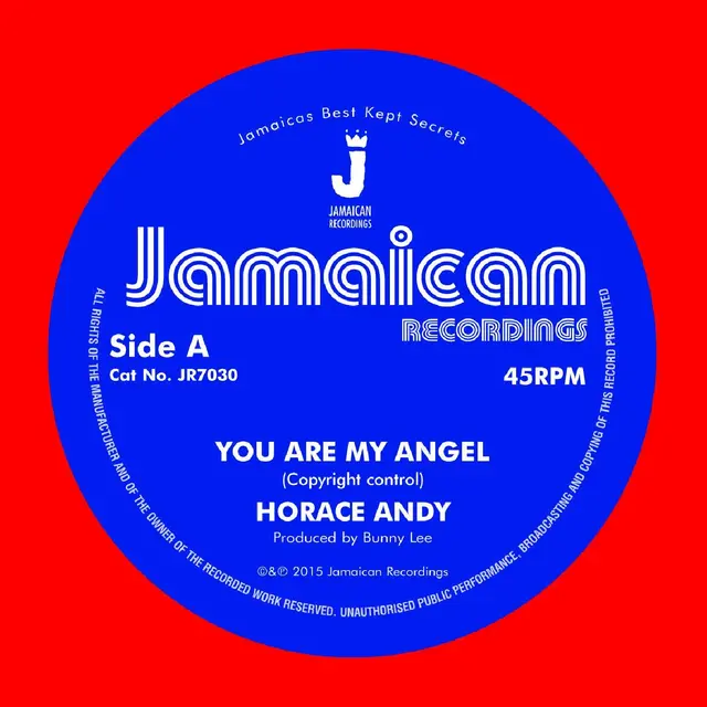 Horace Andy You Are My Angel/Version (7") 