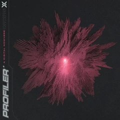 Profiler A Digital Nowhere - LTD (LP)