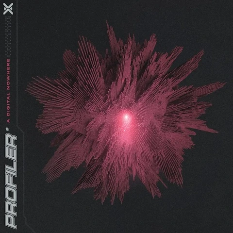 Profiler A Digital Nowhere - LTD (LP) 