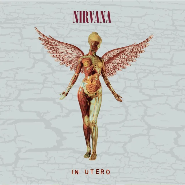 Nirvana In Utero: 30th Anniversary Super… (5CD) 