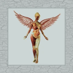 Nirvana In Utero: 30th Anniversary Super… (8LP)