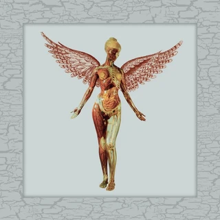Nirvana In Utero: 30th Anniversary Super… (8LP)