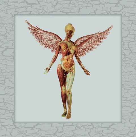 Nirvana In Utero: 30th Anniversary Super… (8LP) 