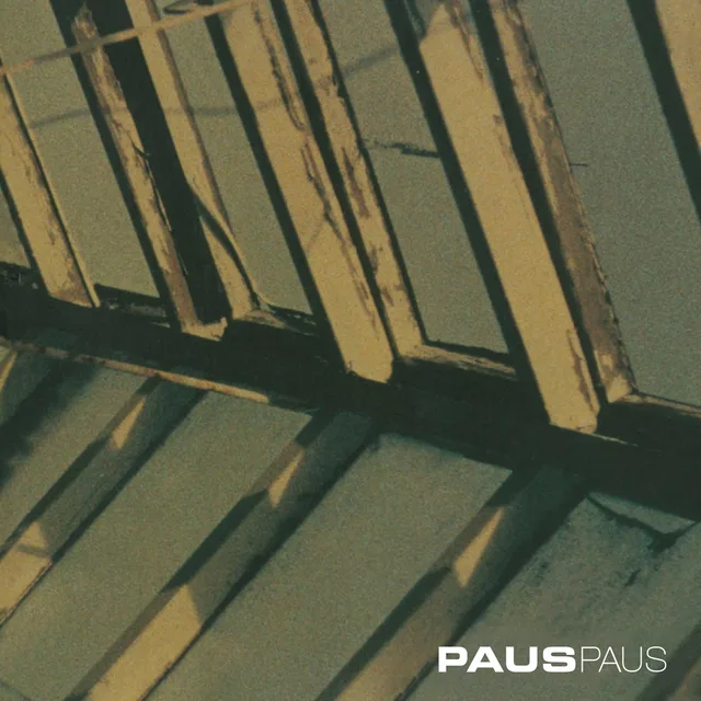 Paus Paus - LTD (LP) 