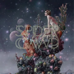 Spidergawd Spidergawd VII - LTD (LP+7"+CD)