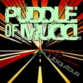 Puddle Of Mudd Ubiquitous (CD)