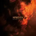 Sprints Letter To Self (LP)