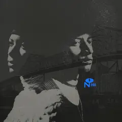 Diverse Artister Skyway Soul: Gary, Indiana - LTD (2LP)