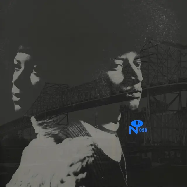 Diverse Artister Skyway Soul: Gary, Indiana - LTD (2LP) 