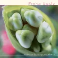 Fiona Apple Extraordinary Machine (2LP)