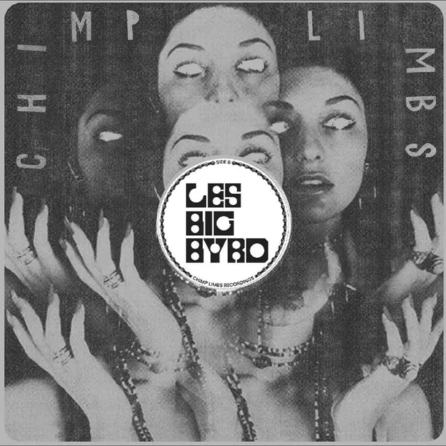 Les Big Byrd Remixes, Rarities & Unreleased (LP) 