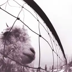 Pearl Jam Vs.: 30th Anniversary…45rpm (2LP)