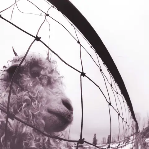 Pearl Jam Vs.: 30th Anniversary…45rpm (2LP)