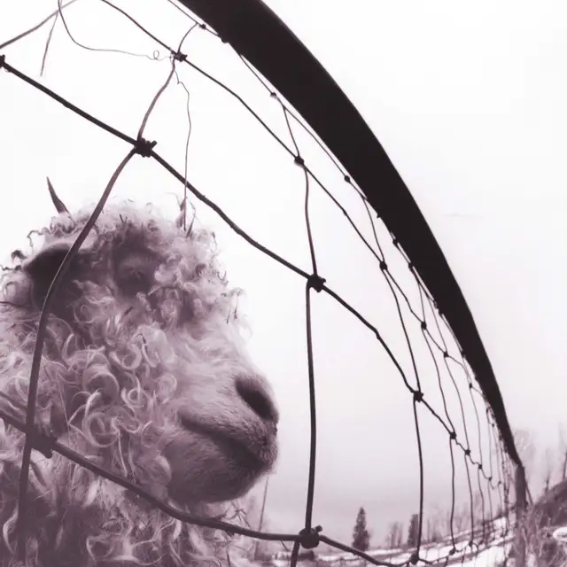 Pearl Jam Vs.: 30th Anniversary…45rpm (2LP) 