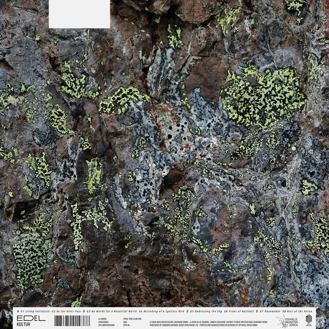 Sebastian Mullaert Natthall (2LP) 