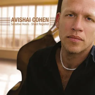 Avishai Cohen Sensitive Hours - Shaot Regishot (LP)
