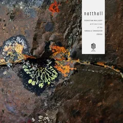 Sebastian Mullaert Natthall (2LP)