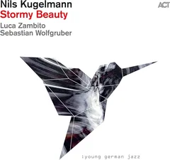 Nils Kugelmann Stormy Beauty (LP)