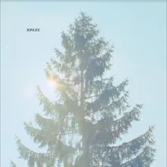 Sonlife Sonlife (LP)